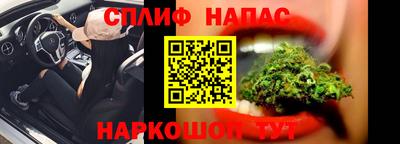 PSILOCYBIN Тверь