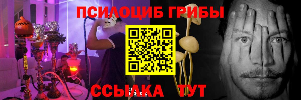 Псилоцибиновые грибы Psilocybine cubensis Новоуральск